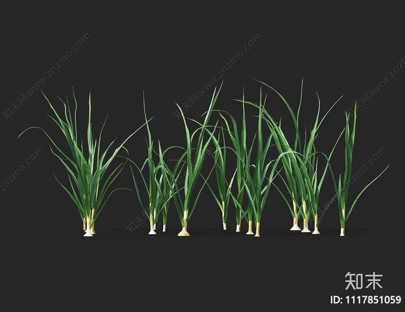 蒜苗3D模型下载【ID:1117851059】