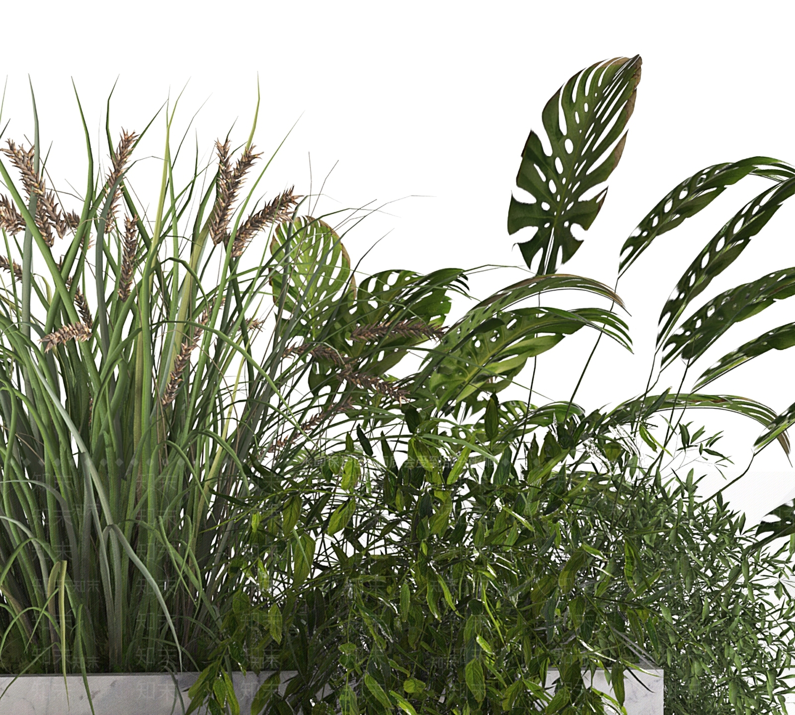 植物堆组合3D模型下载【ID:1117871187】