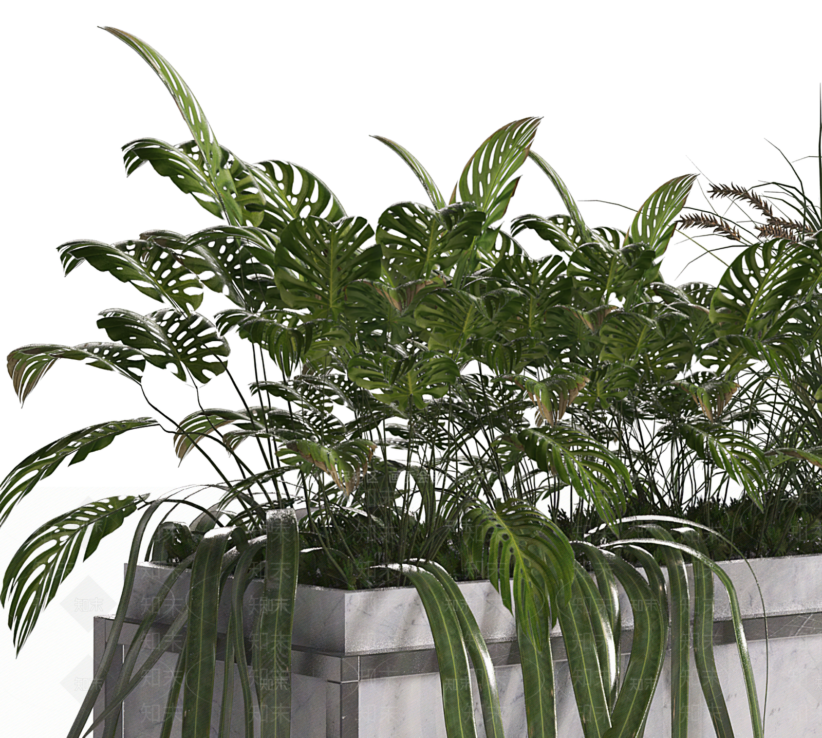 植物堆组合3D模型下载【ID:1117871187】