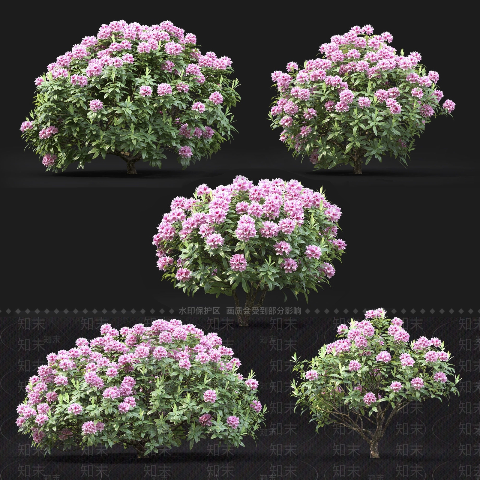 杜鹃花SU模型下载【ID:1117877787】