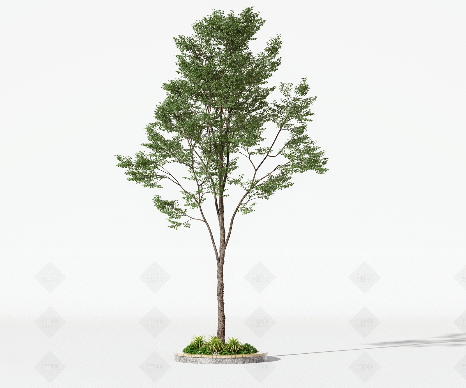 树木3D模型下载【ID:1118043931】