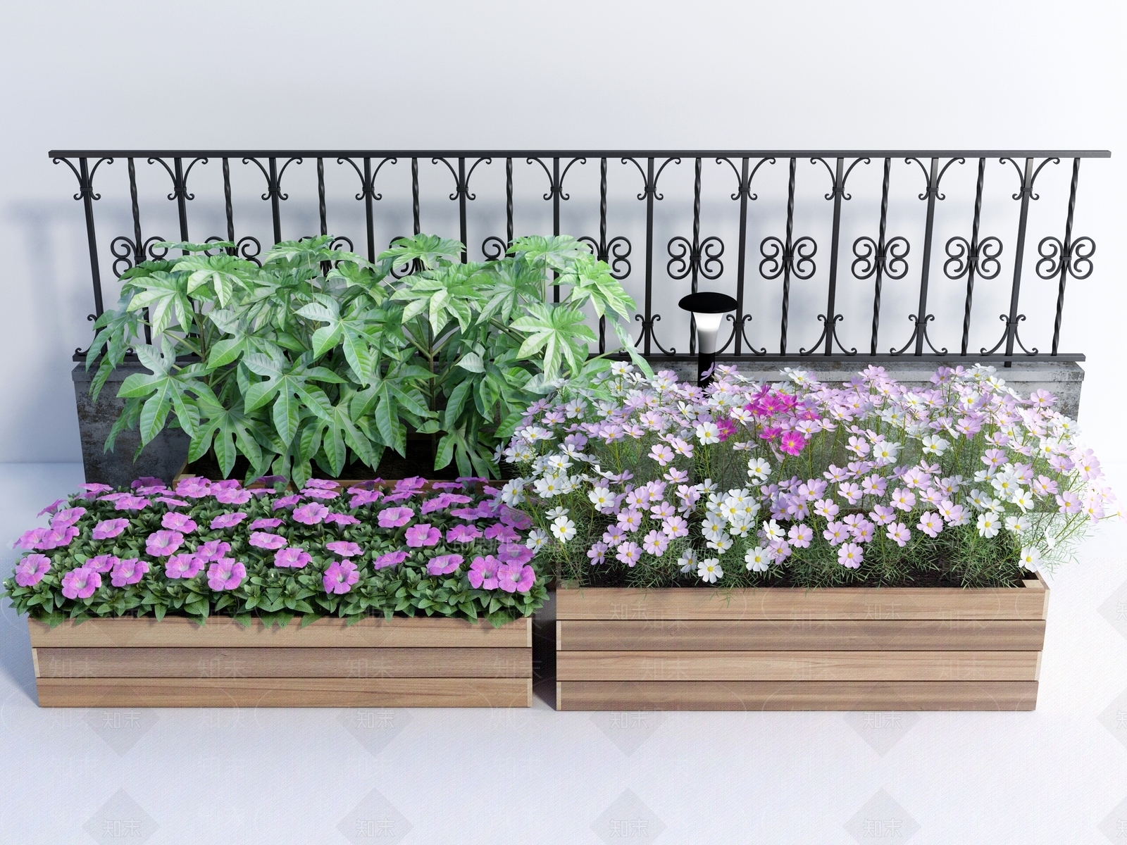 植物3D模型下载【ID:1118142500】