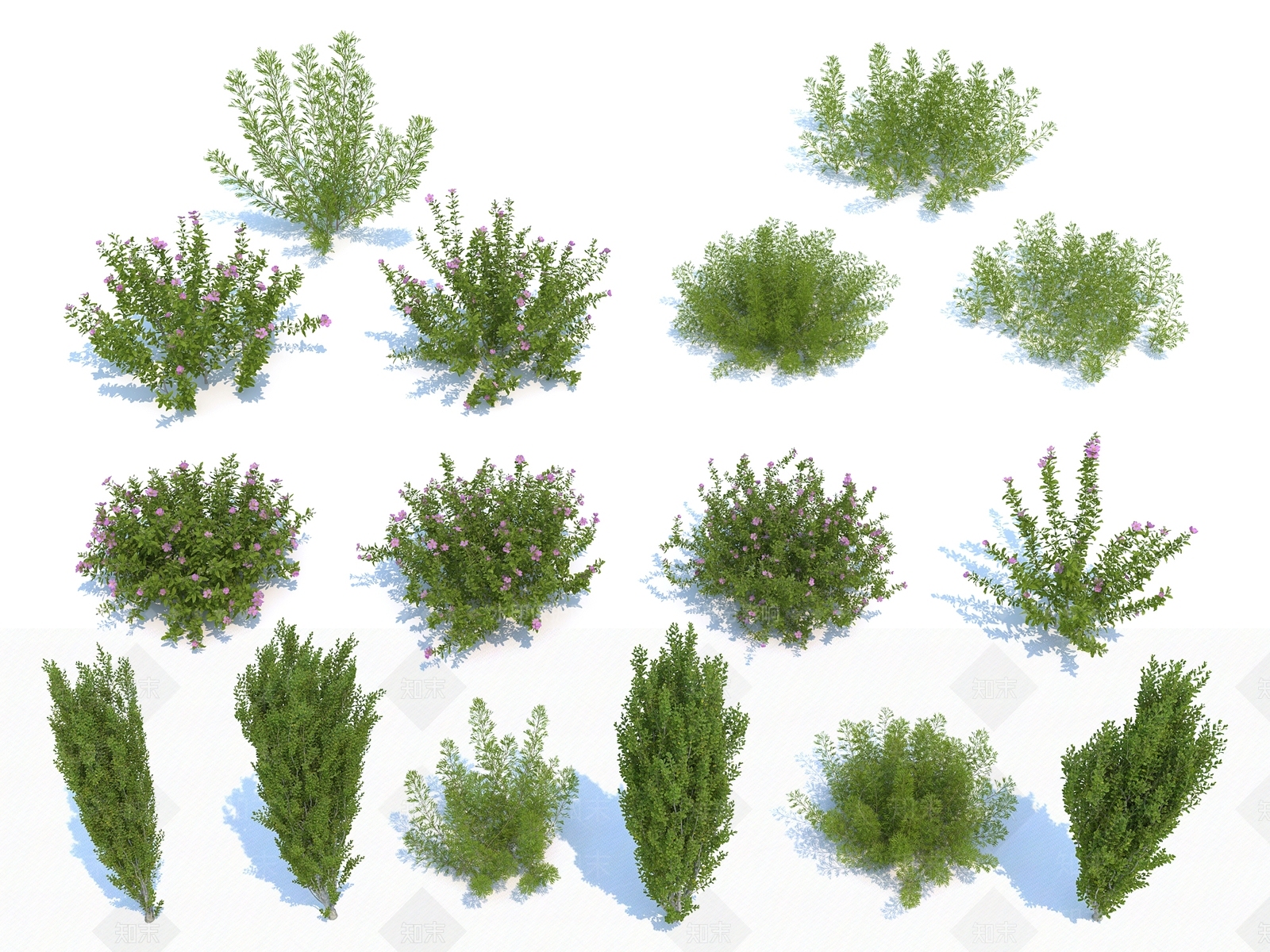 花草组合3D模型下载【ID:1118169752】