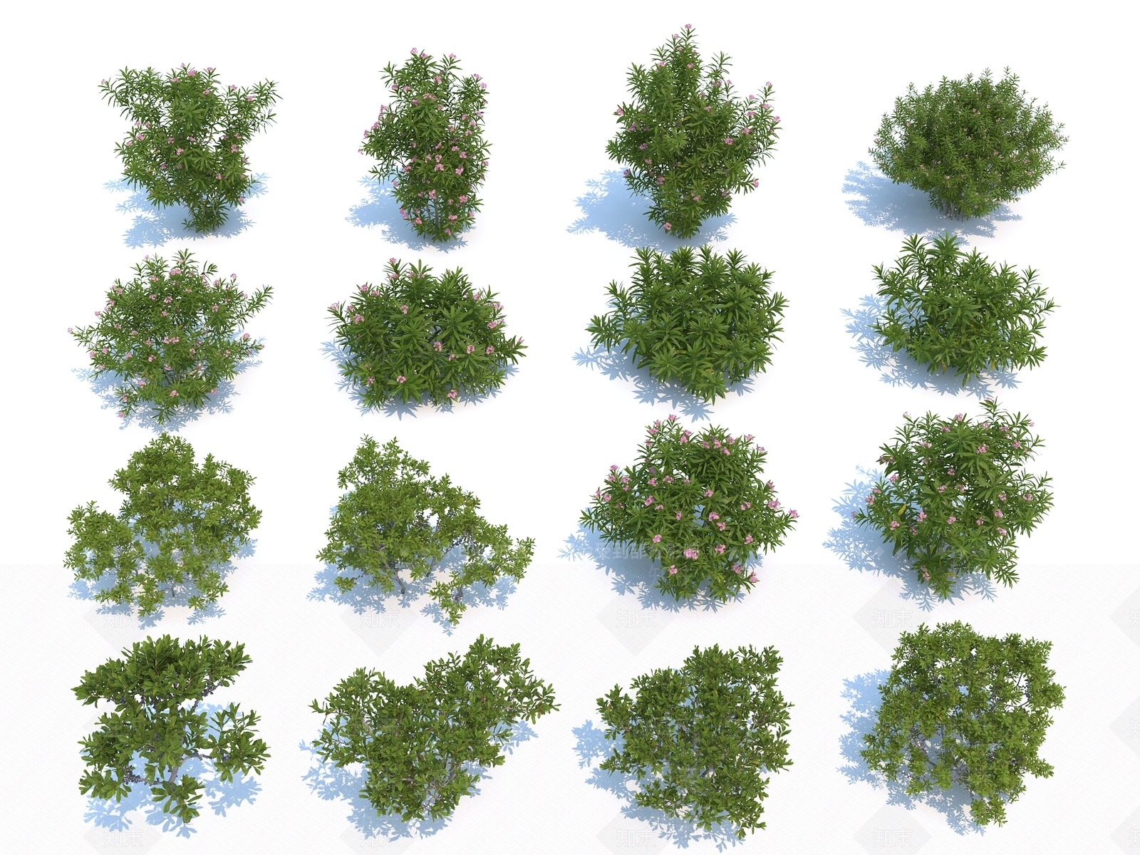 花草3D模型下载【ID:1118184313】