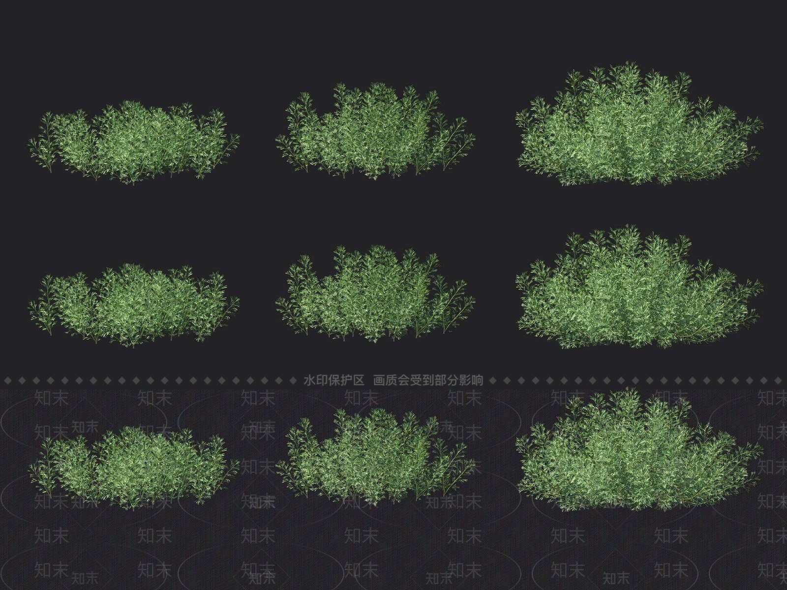 红豆杉3D模型下载【ID:1118203811】