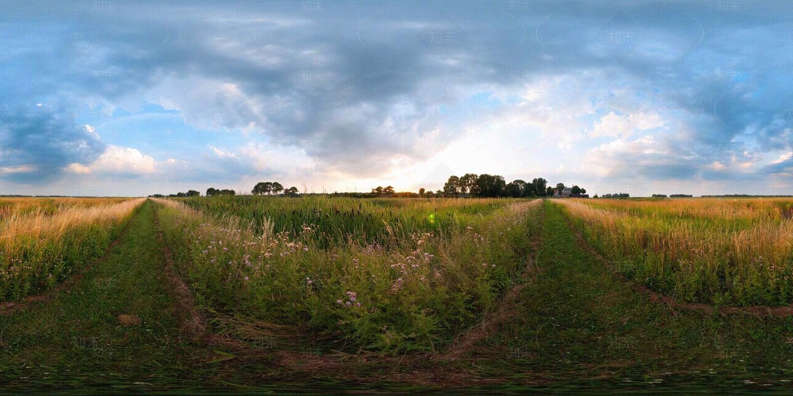 HDR乡村田野黄昏贴图下载【ID:1118234228】