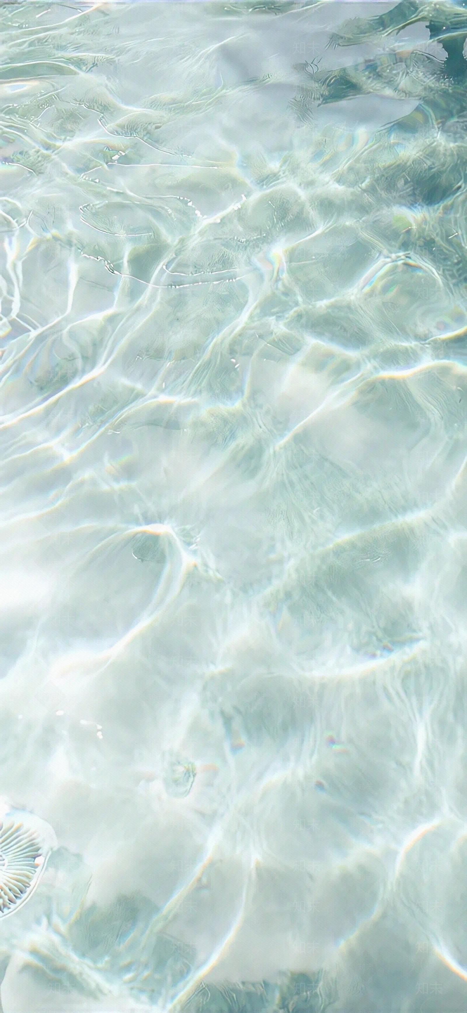 浴缸游泳池鱼缸水面贴图贴图下载【ID:1118379910】