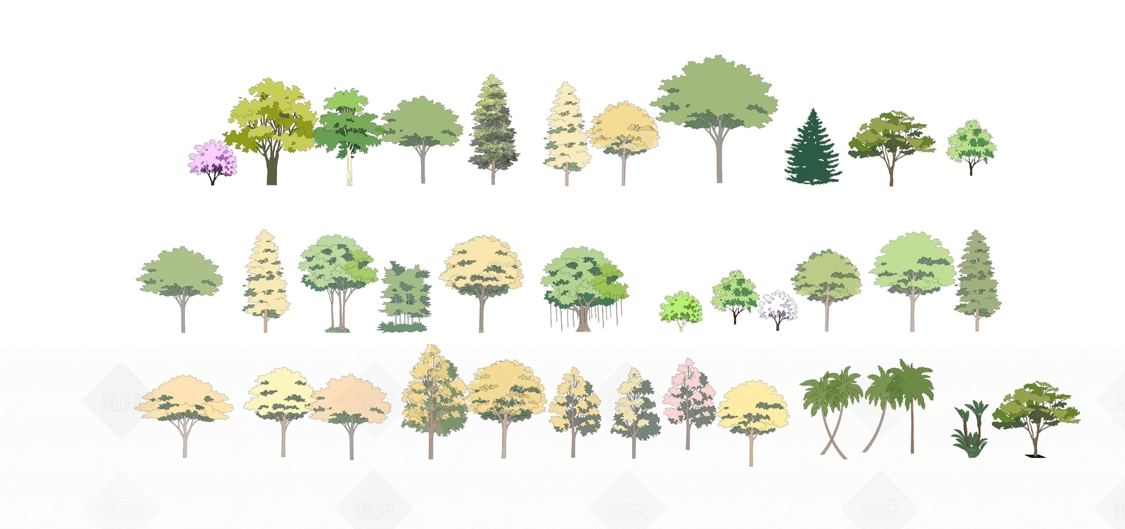 2D手绘风格植物SU模型下载【ID:1118467892】