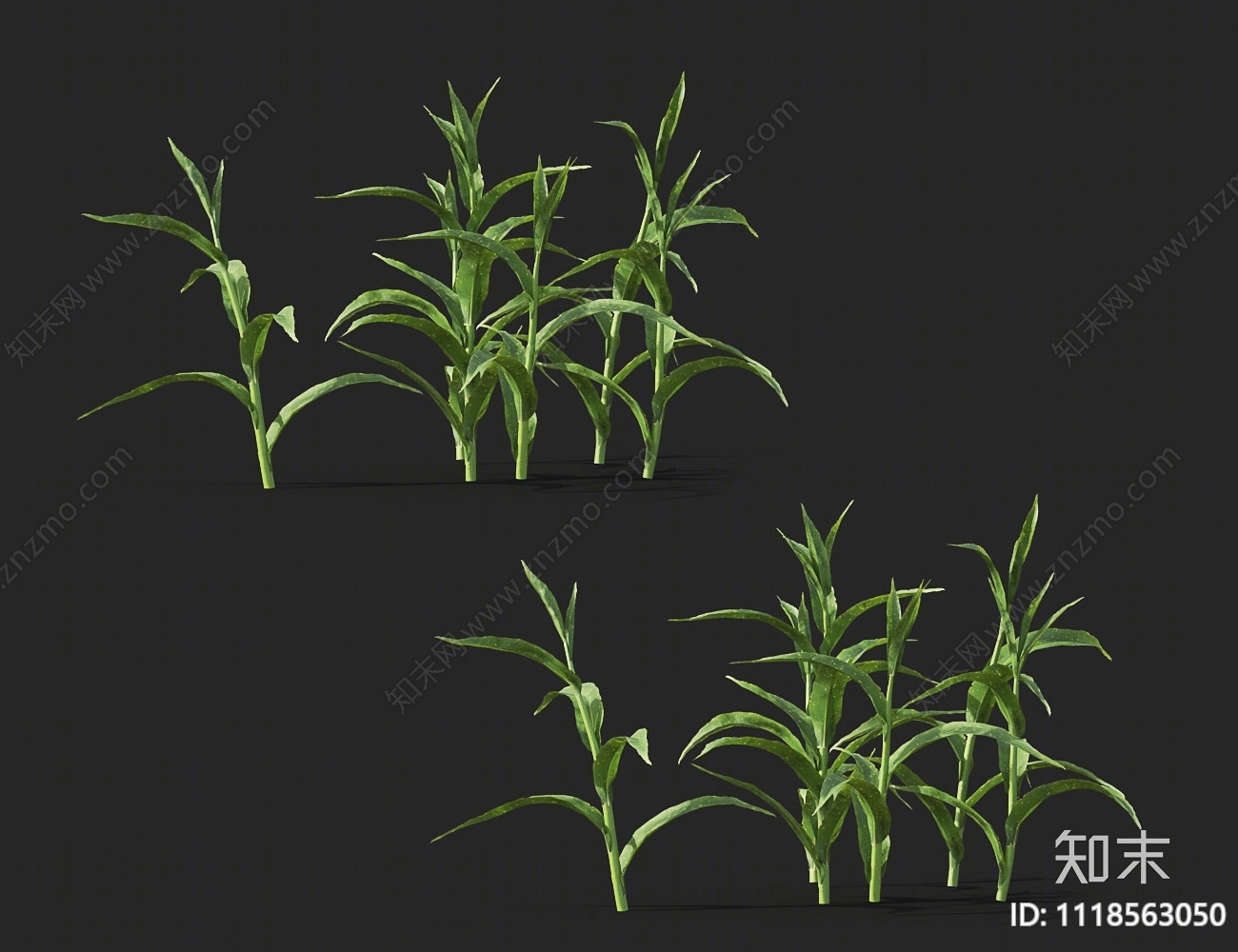 农作物3D模型下载【ID:1118563050】