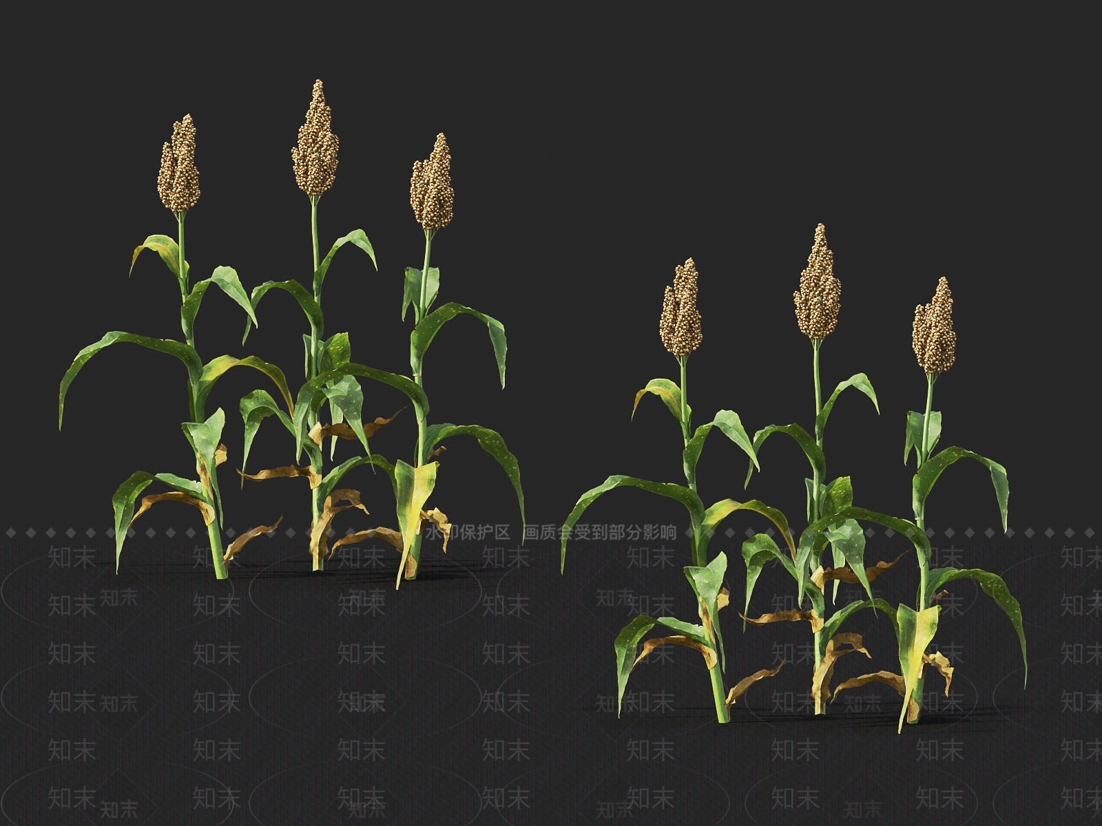 农作物3D模型下载【ID:1118563467】
