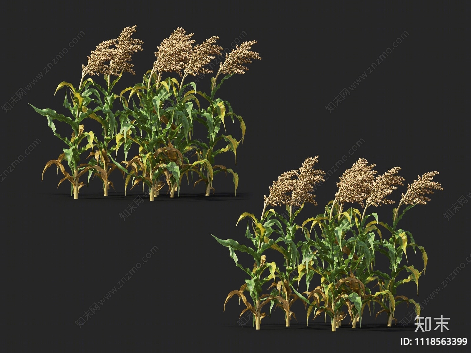 农作物3D模型下载【ID:1118563399】