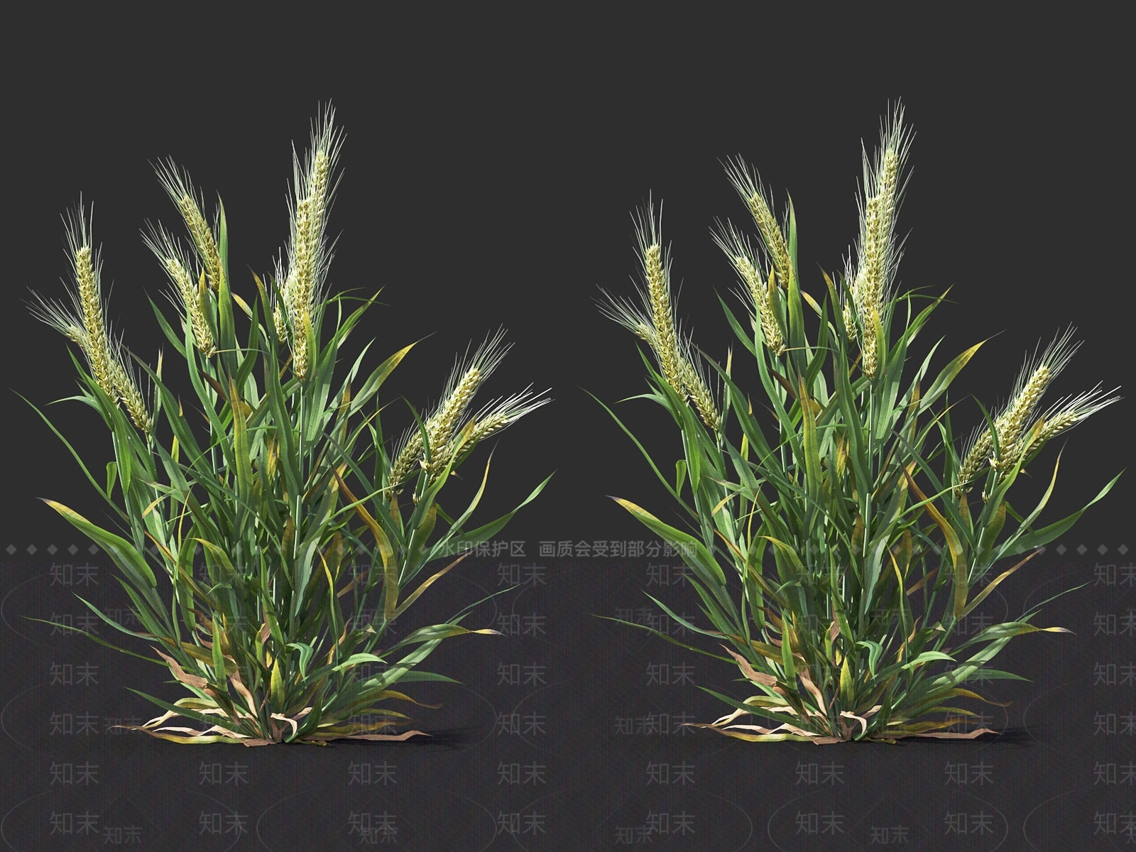 农作物3D模型下载【ID:1118564641】
