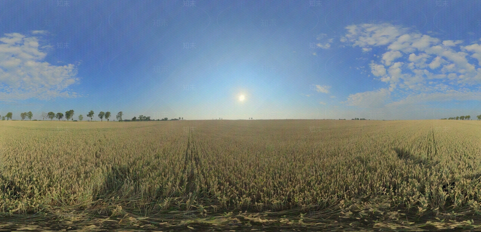 国外最新草地晴天HDR贴图下载【ID:1118614408】