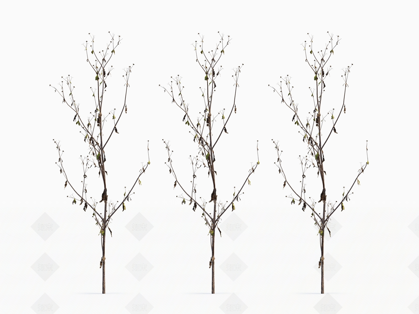 干草3D模型下载【ID:1118691996】