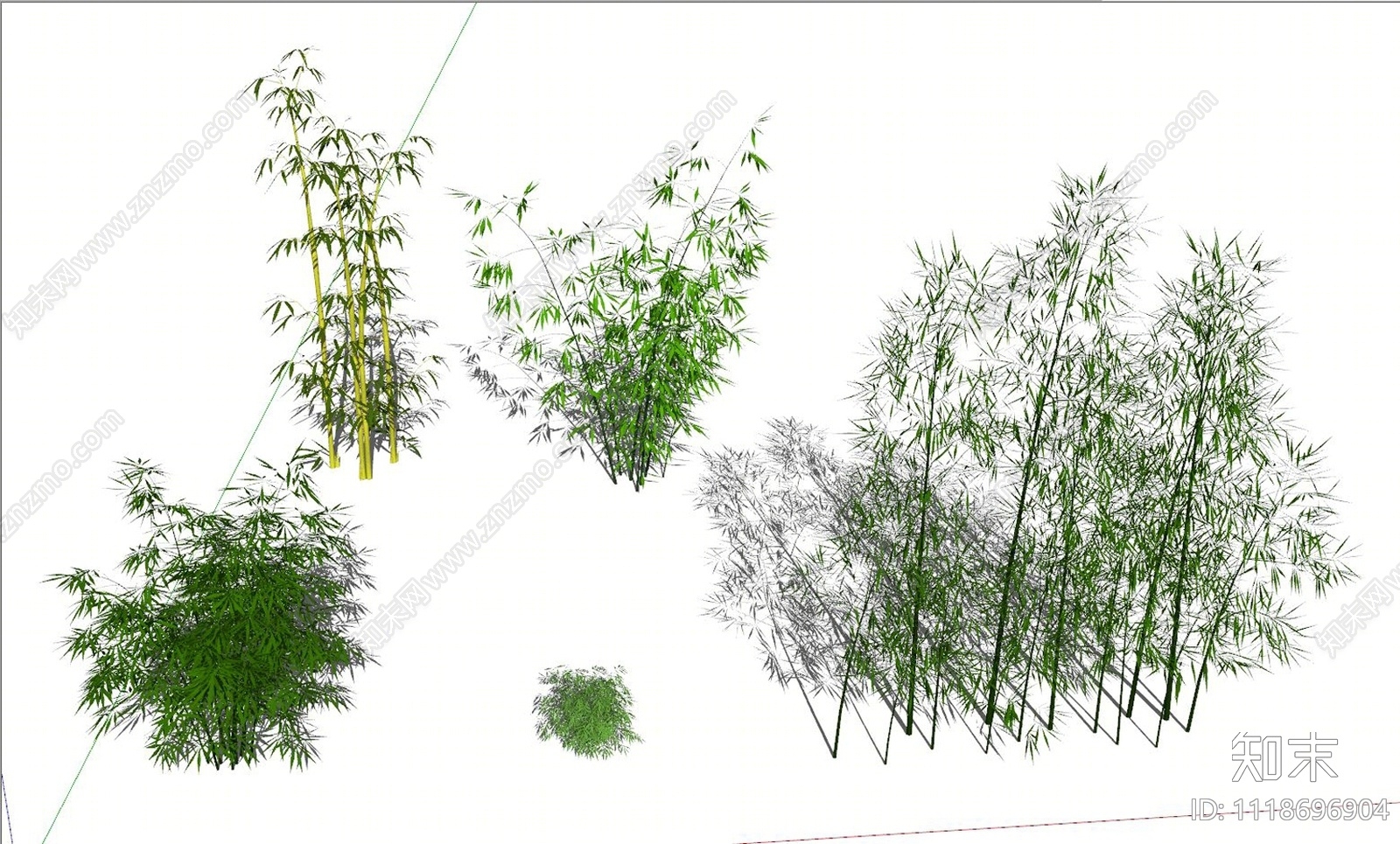 竹类SU模型下载【ID:1118696904】