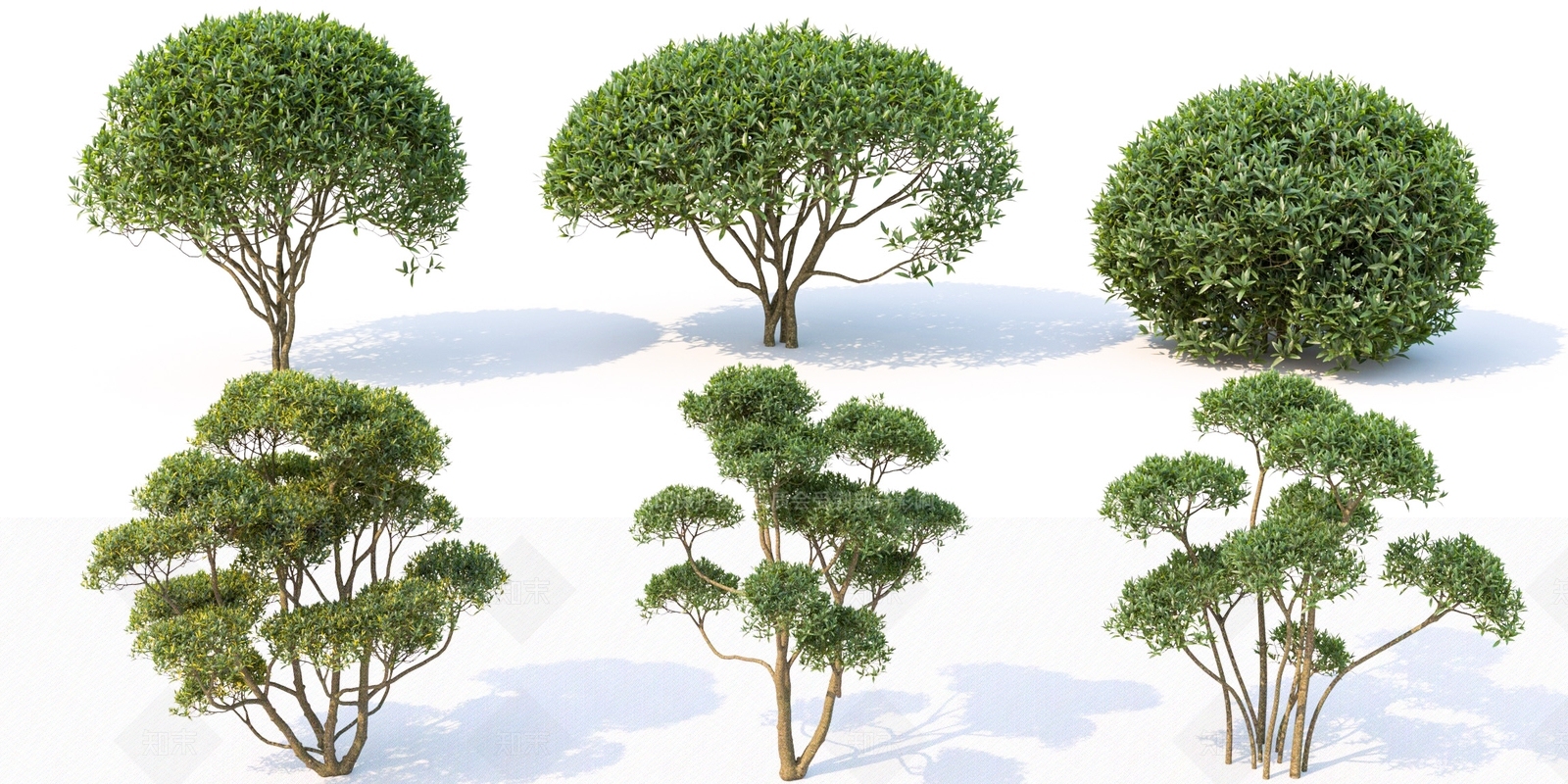 现代景观树木SU模型下载【ID:1118699616】
