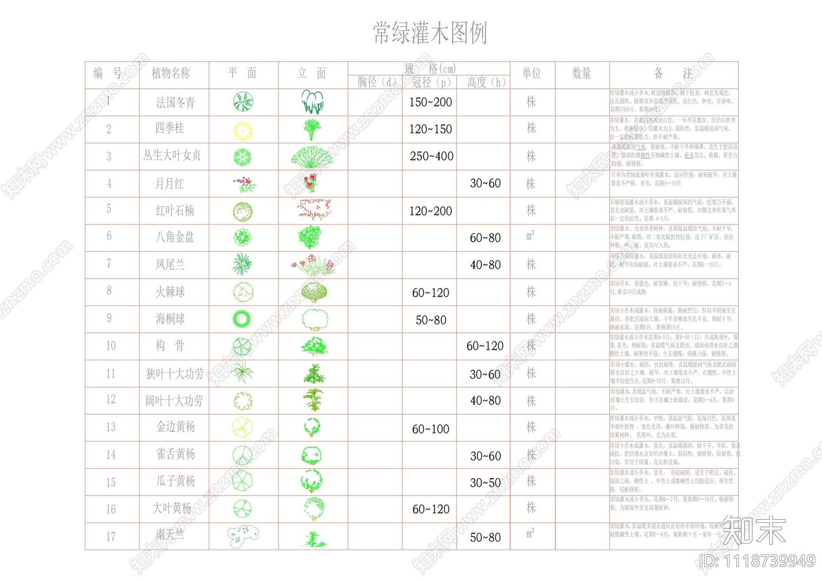 常绿灌木植物图列及说明施工图下载【ID:1118739949】
