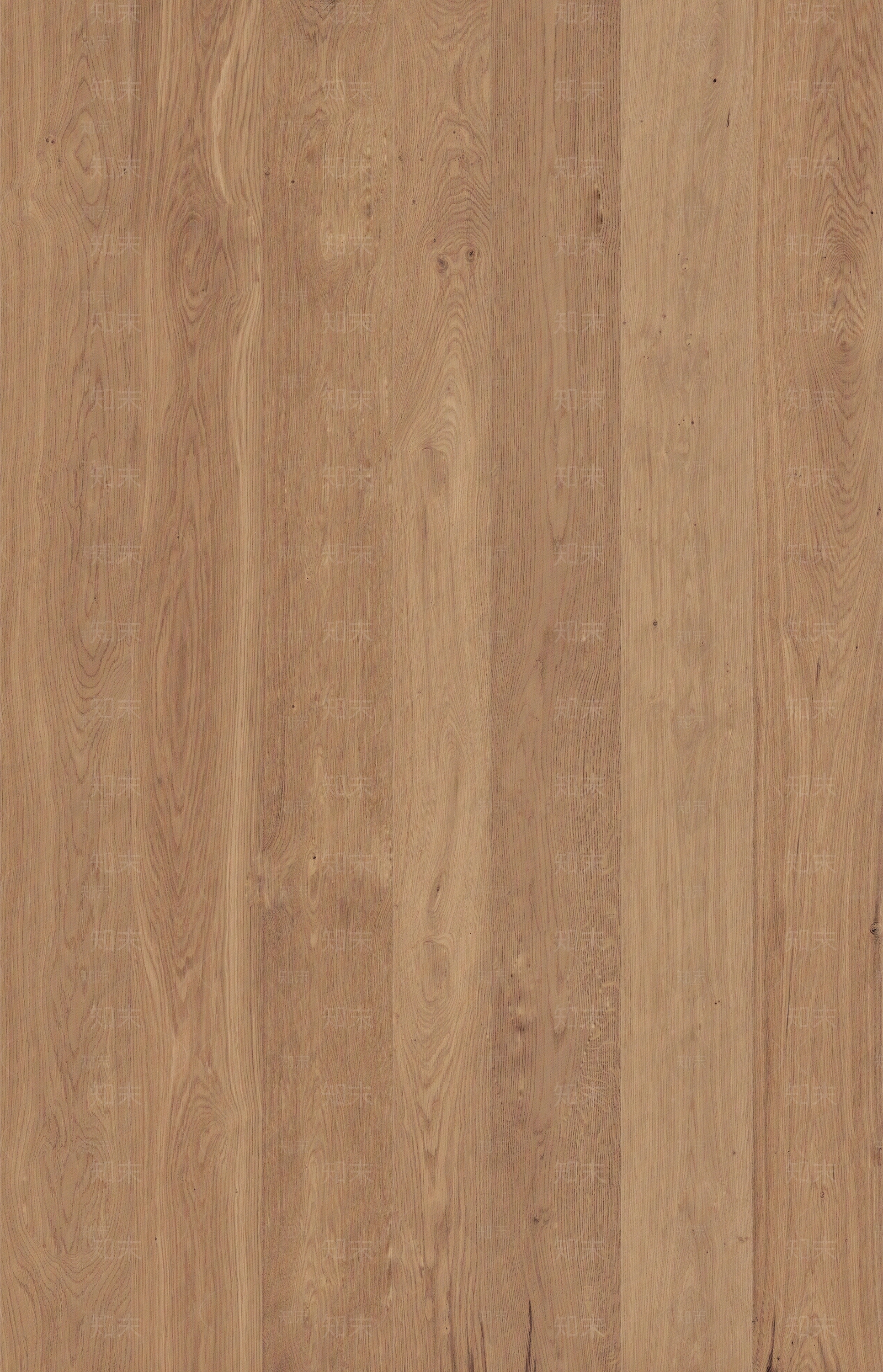 原木木纹木饰面贴图下载【ID:1118753432】