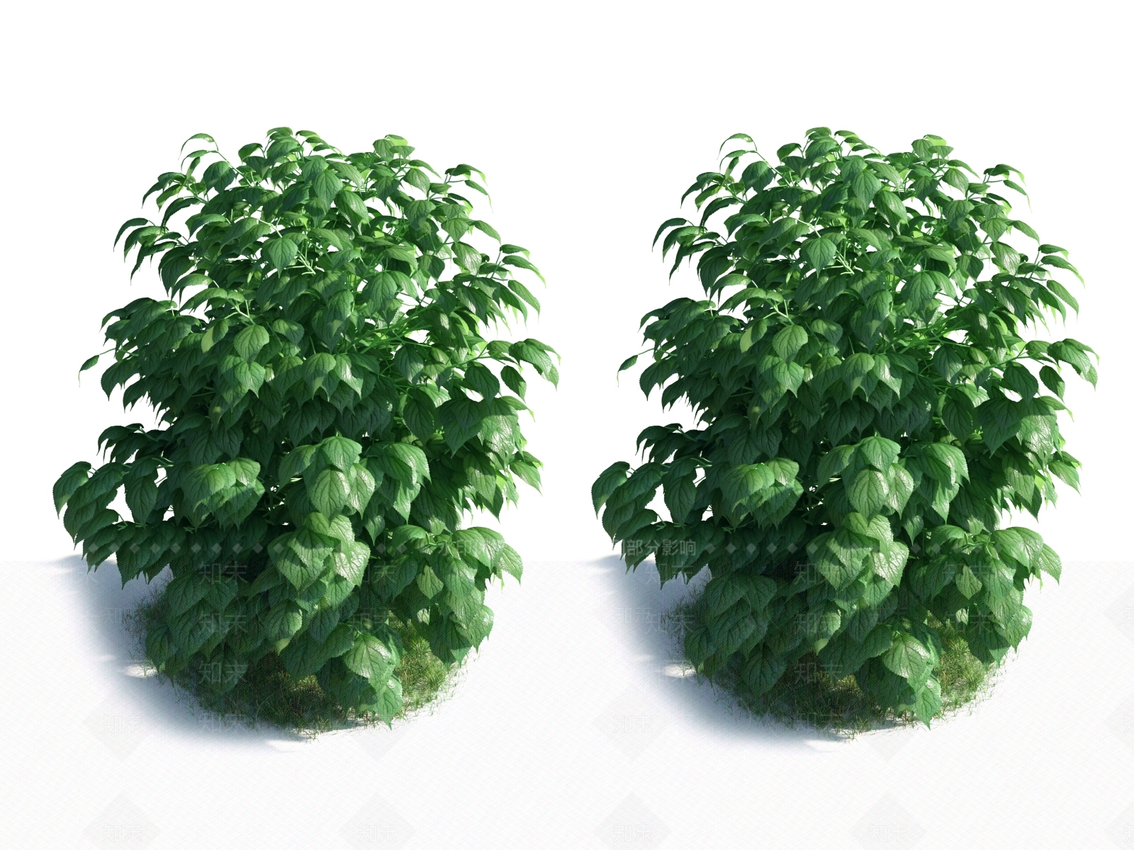 草3D模型下载【ID:1118875434】