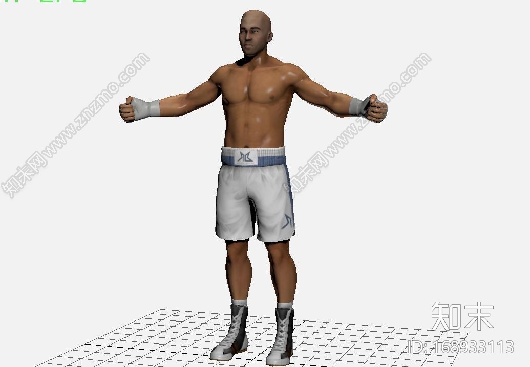 拳击手CG模型下载【ID:168933113】