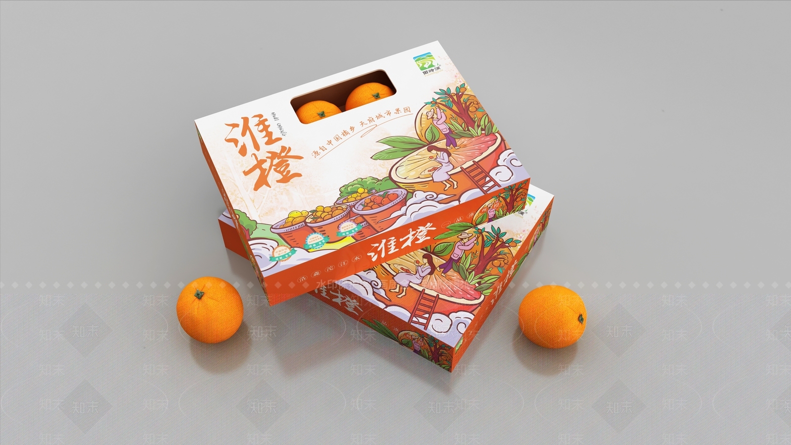 橙子3D模型下载【ID:1118889587】