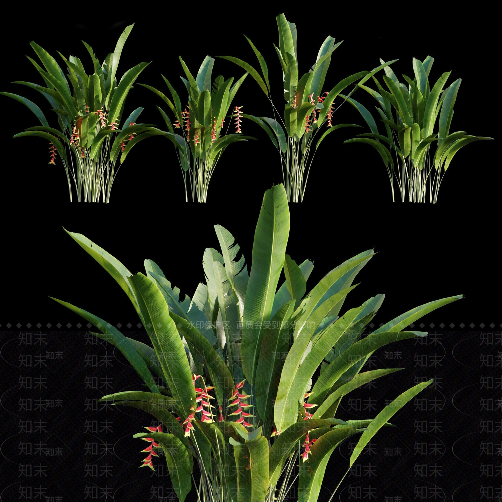 芭蕉3D模型下载【ID:1118900356】