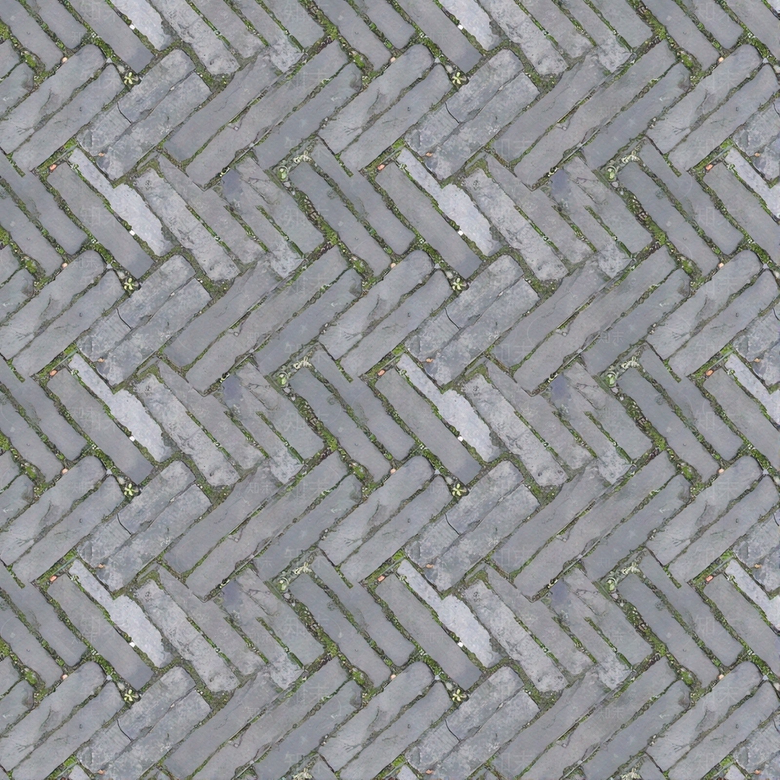 青砖苔藓铺砖透水砖贴图下载【ID:1195364395】