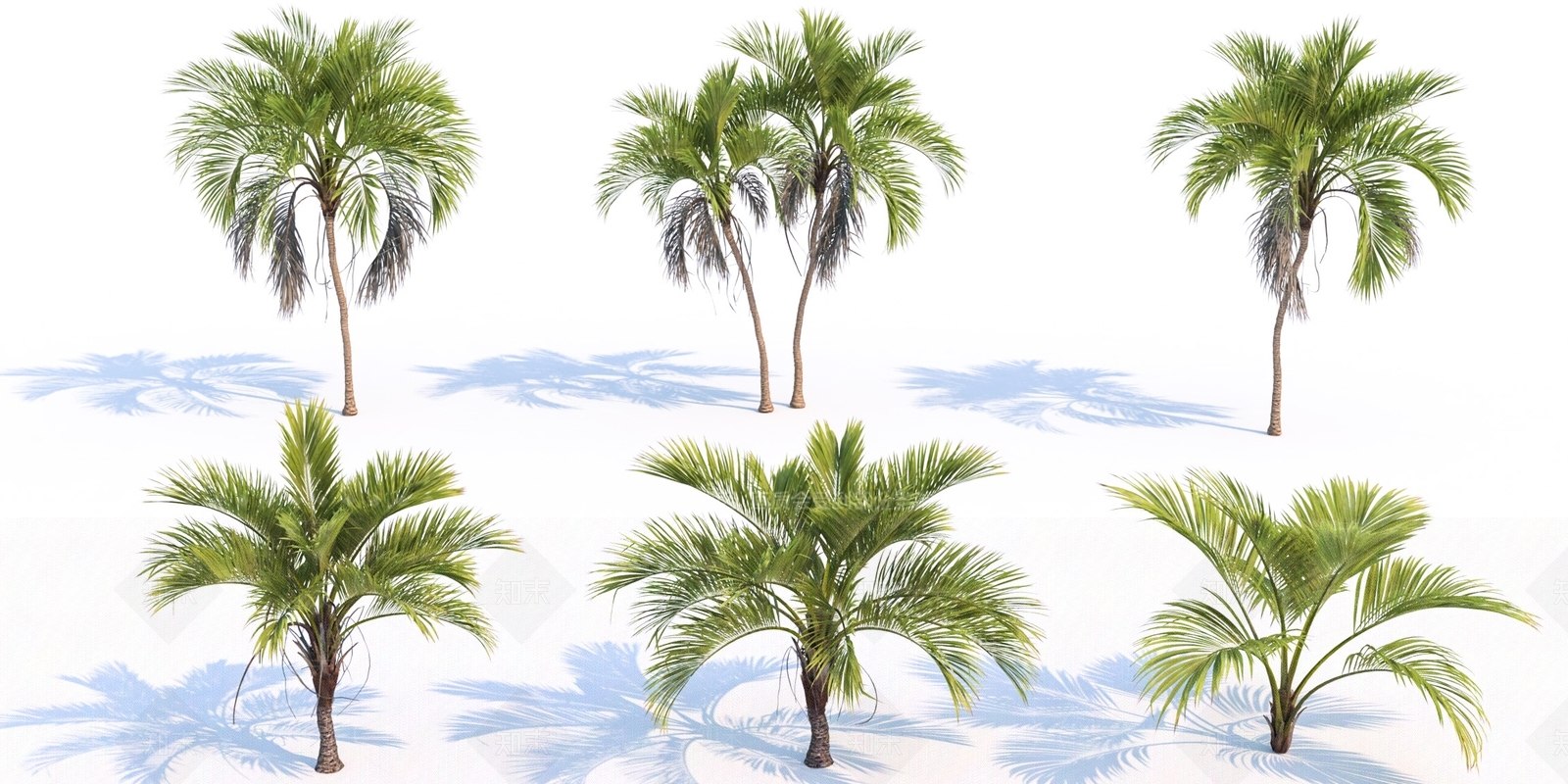 热带树SU模型下载【ID:1118986035】