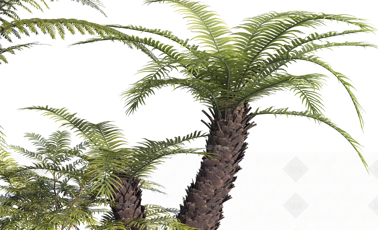 现代景观树池植物组合3D模型下载【ID:1119038826】