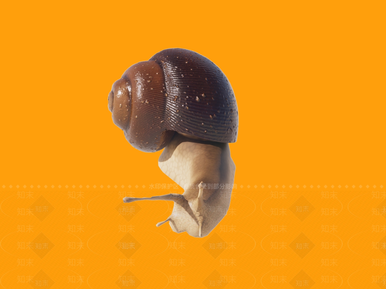 软体动物SU模型下载【ID:1119055970】