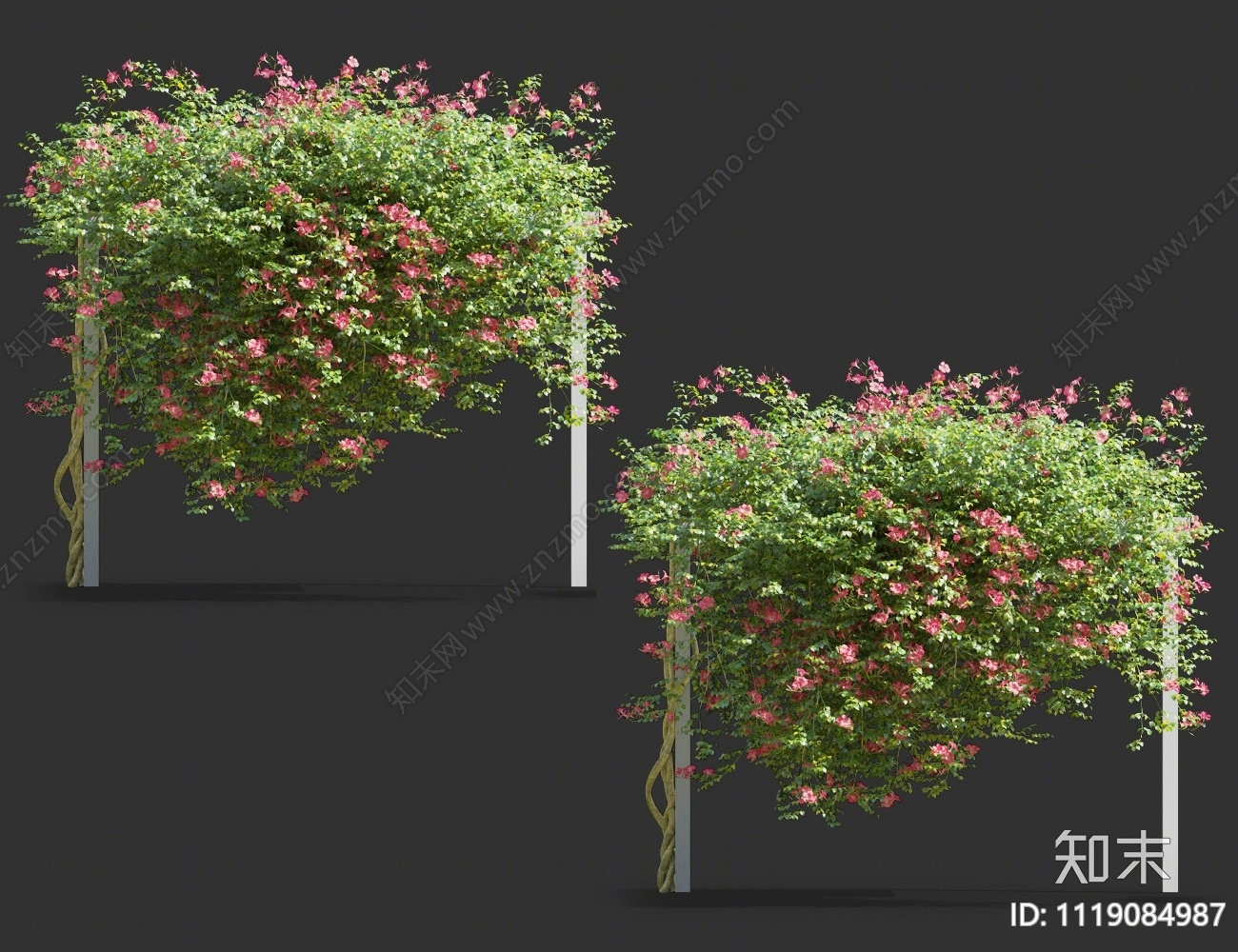 藤蔓植物3D模型下载【ID:1119084987】