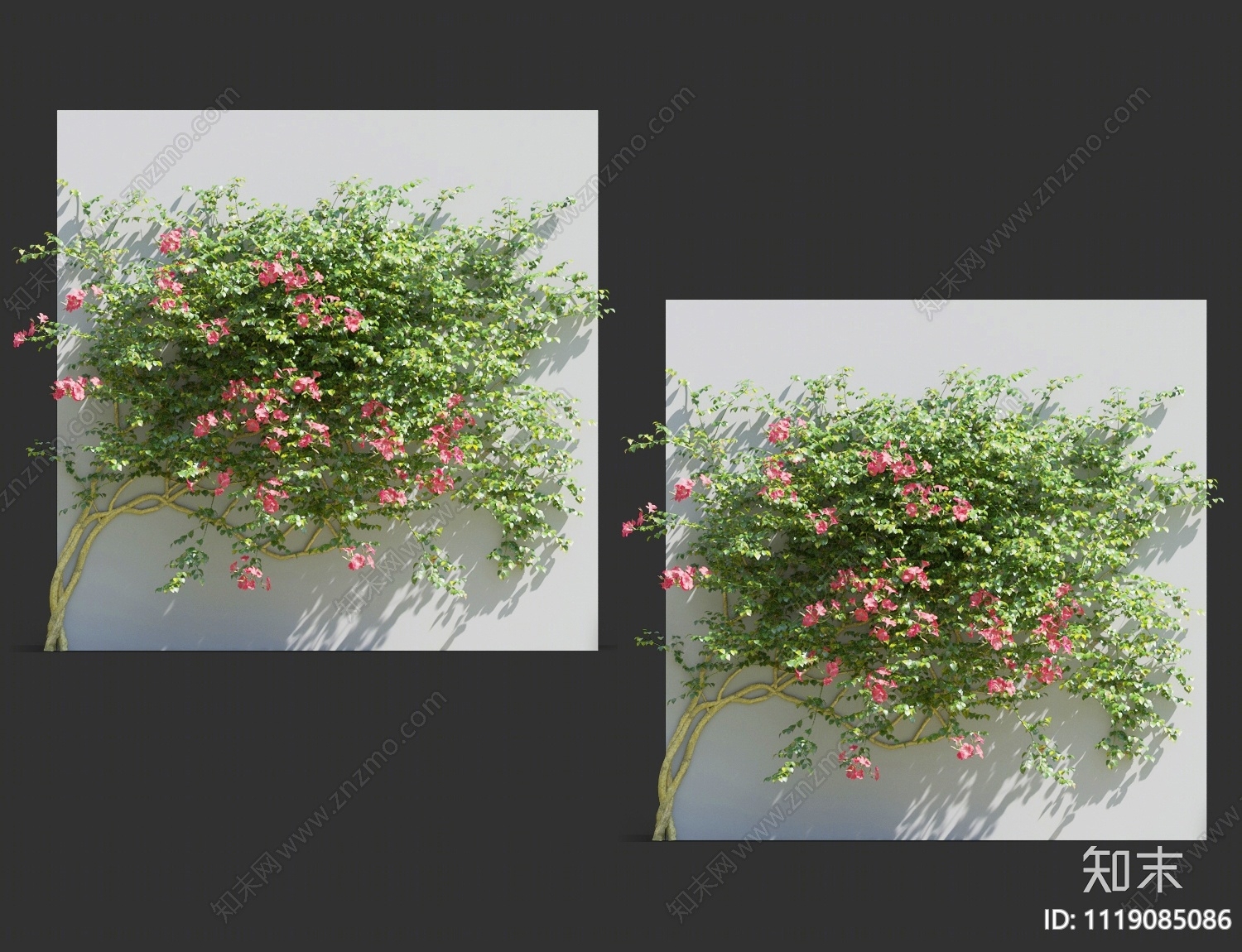 藤蔓植物3D模型下载【ID:1119085086】