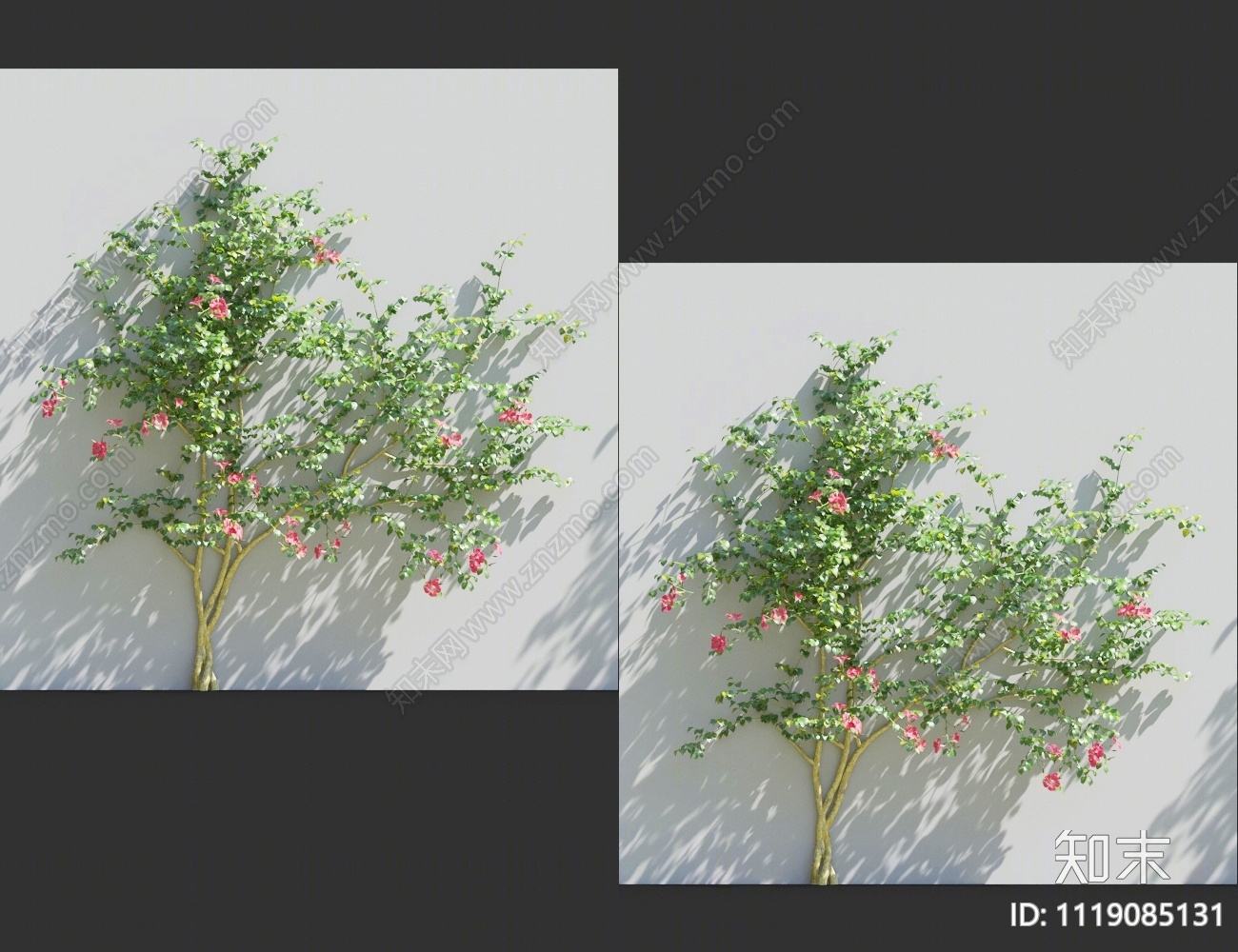 藤蔓植物3D模型下载【ID:1119085131】