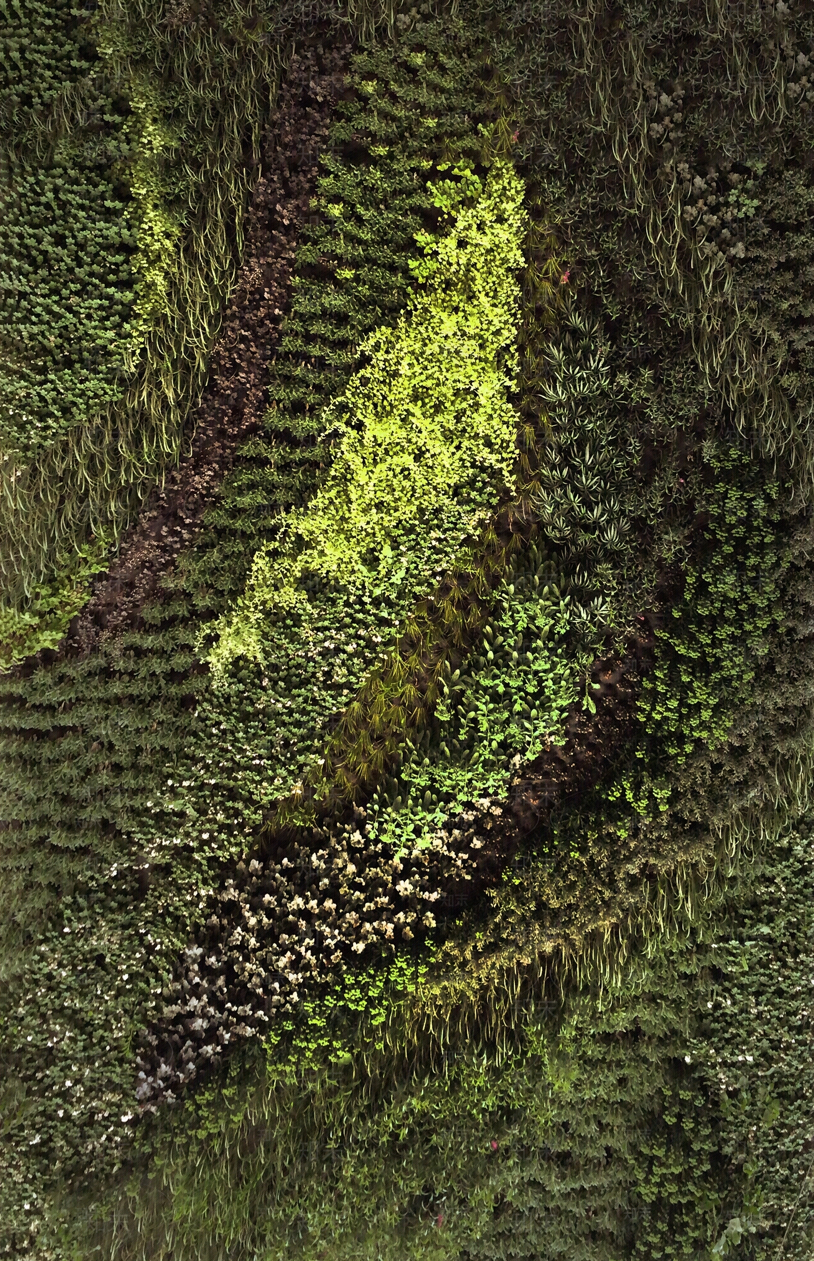 植物装饰墙草皮贴图下载【ID:1119085591】