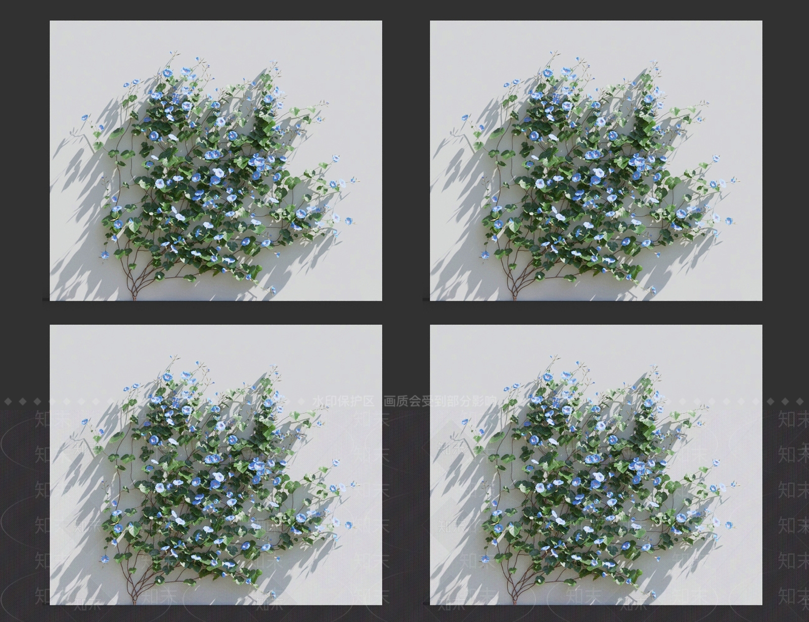 牵牛花3D模型下载【ID:1119089486】