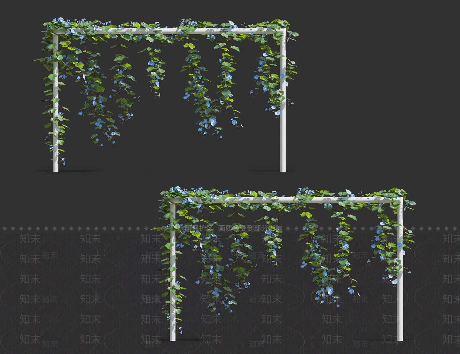 牵牛花3D模型下载【ID:1119089607】