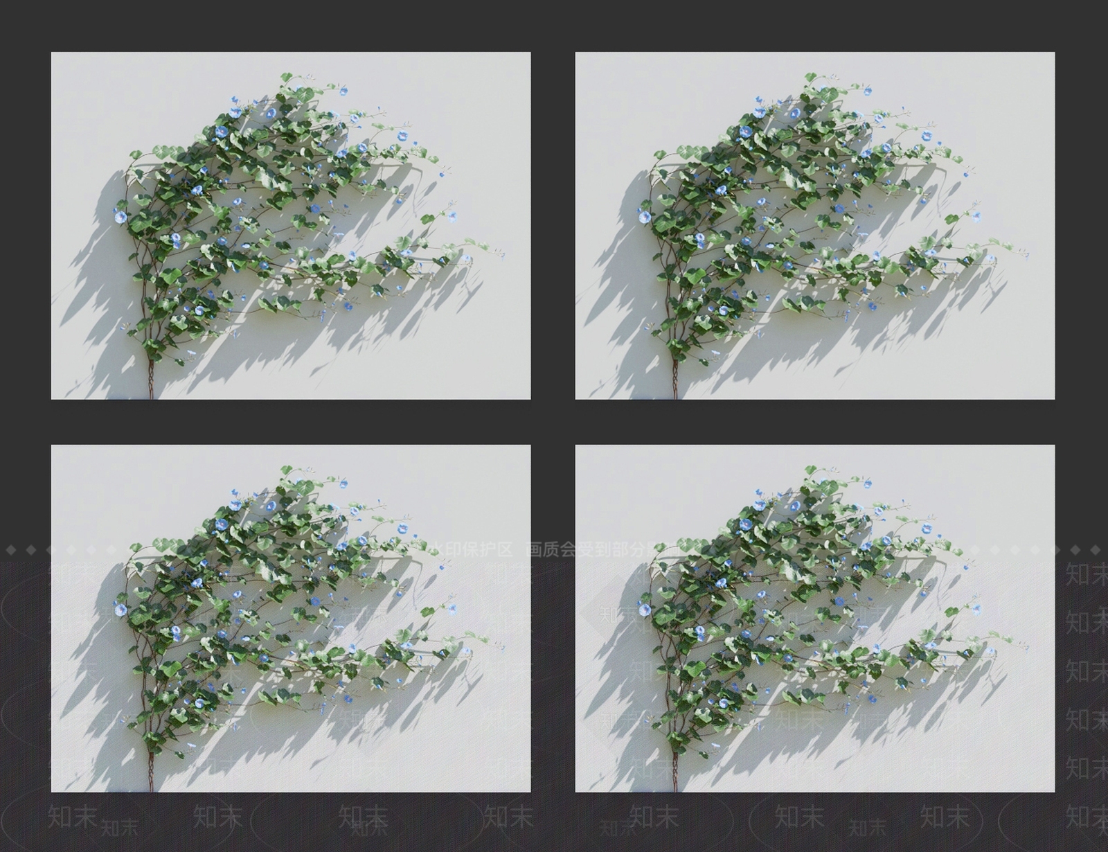 牵牛花3D模型下载【ID:1119089636】