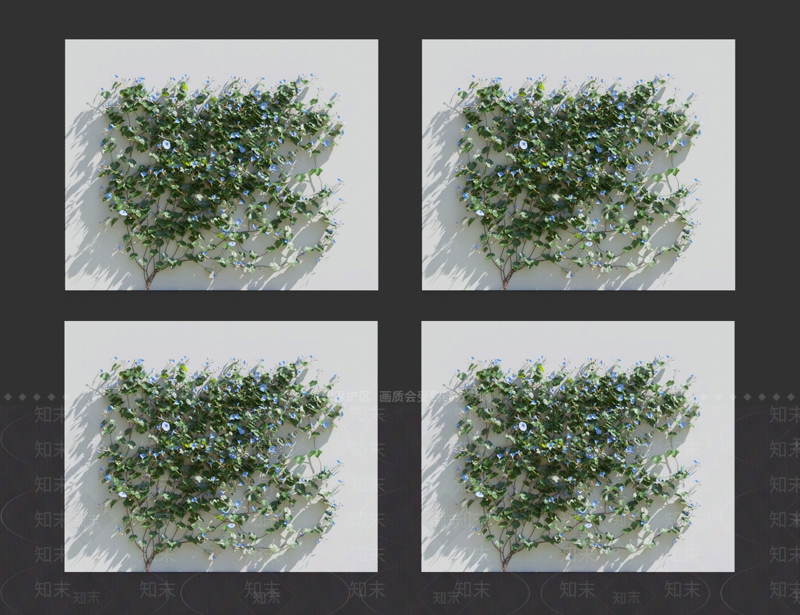 牵牛花3D模型下载【ID:1119089674】