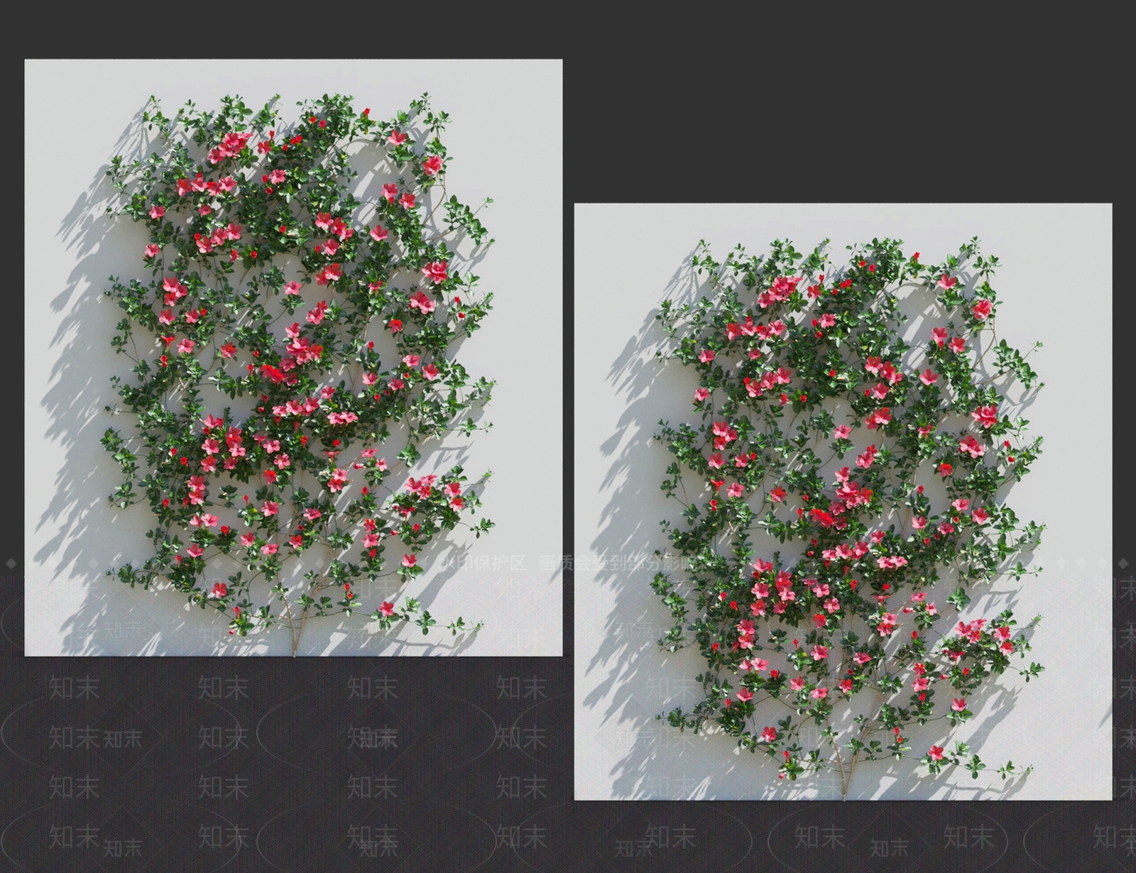 藤蔓植物3D模型下载【ID:1119092120】