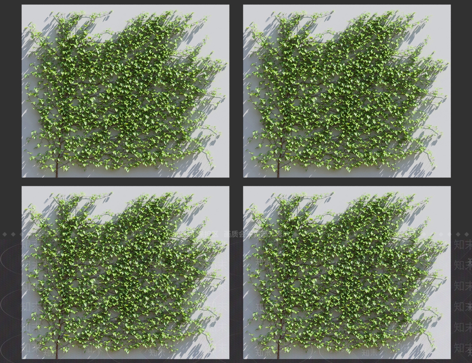 藤蔓植物3D模型下载【ID:1119092690】