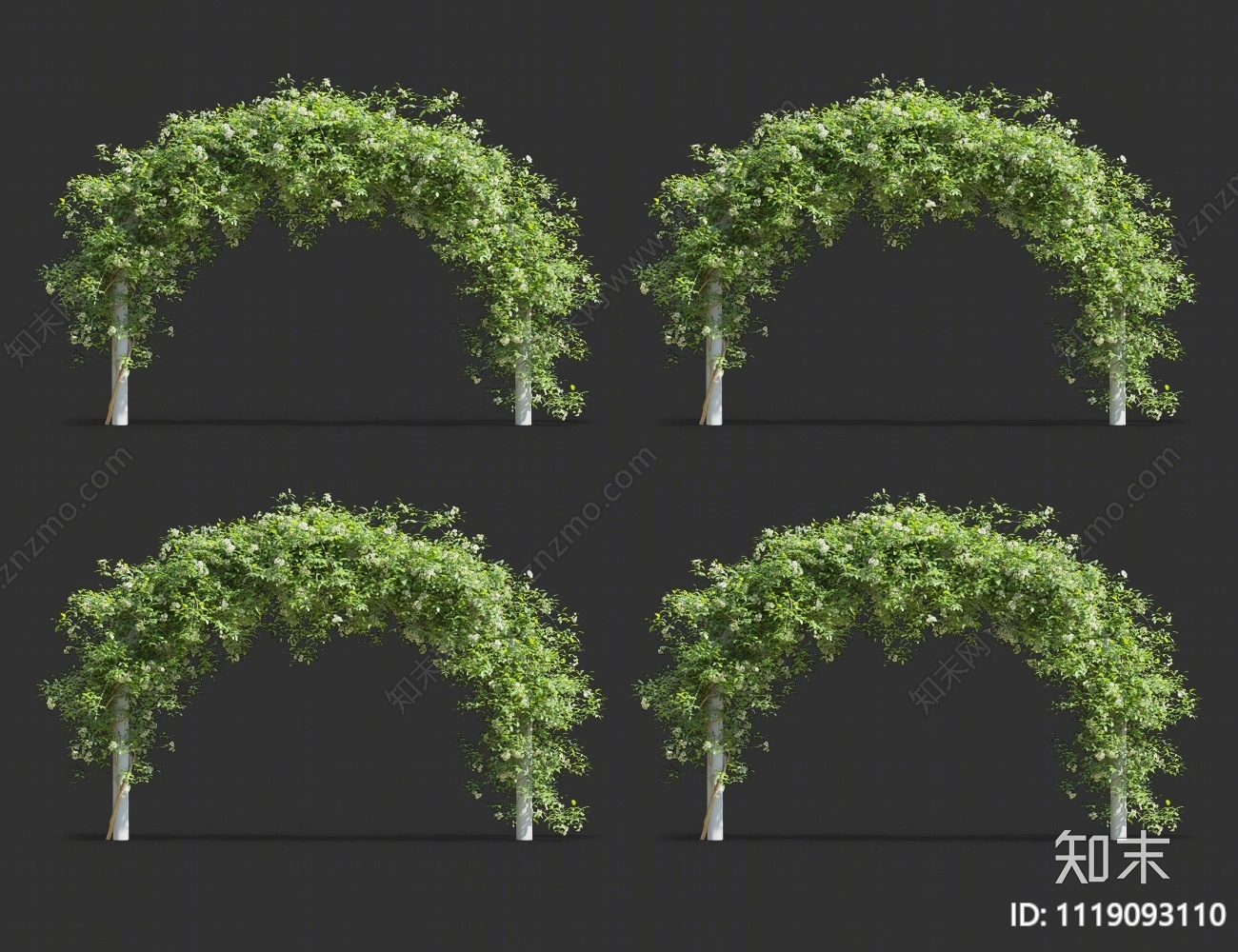 藤蔓植物3D模型下载【ID:1119093110】