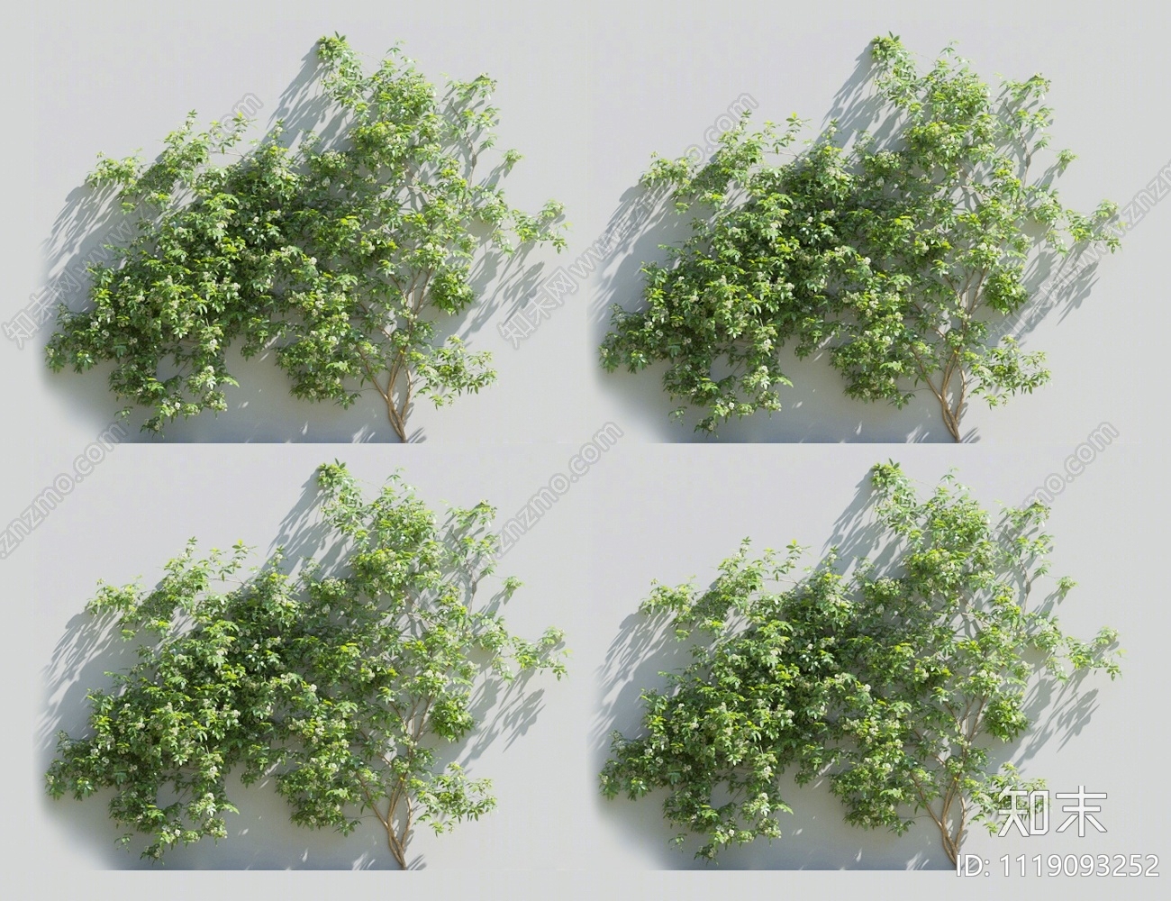 藤蔓植物3D模型下载【ID:1119093252】