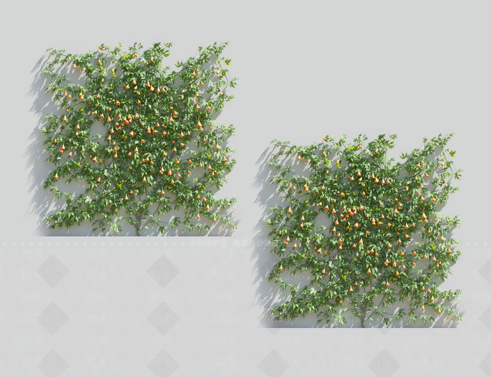 藤蔓植物3D模型下载【ID:1119093405】