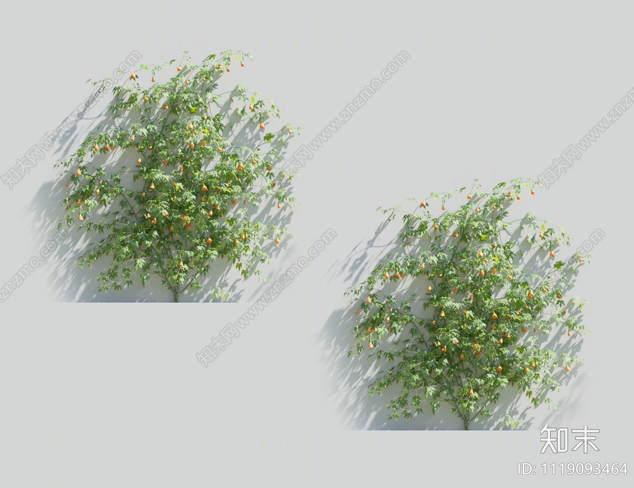 藤蔓植物3D模型下载【ID:1119093464】