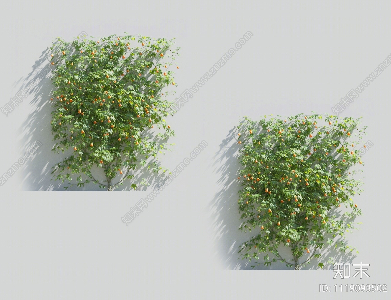 藤蔓植物3D模型下载【ID:1119093502】