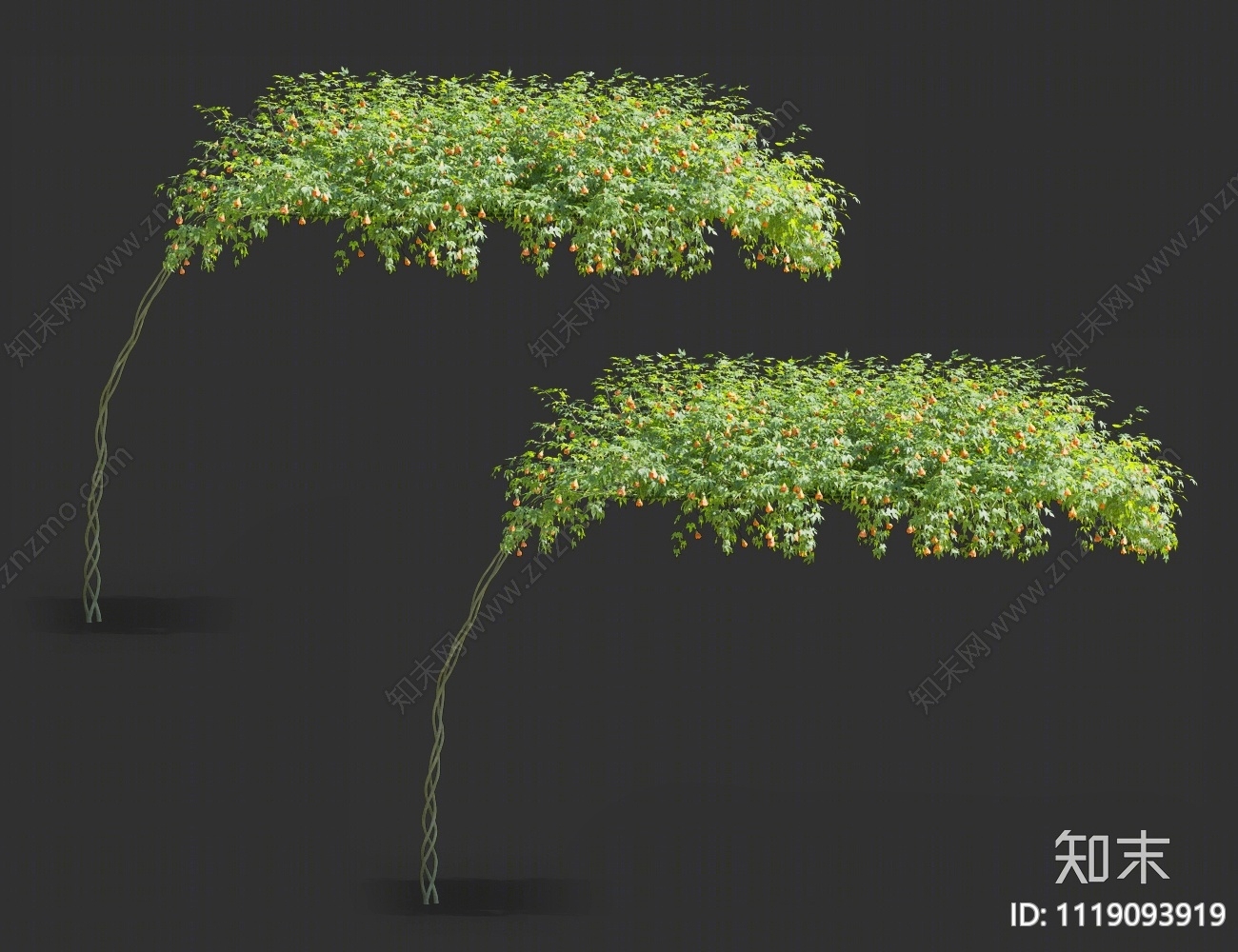 藤蔓植物3D模型下载【ID:1119093919】