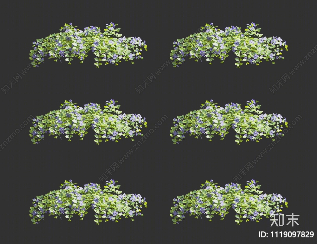 半枝莲3D模型下载【ID:1119097829】