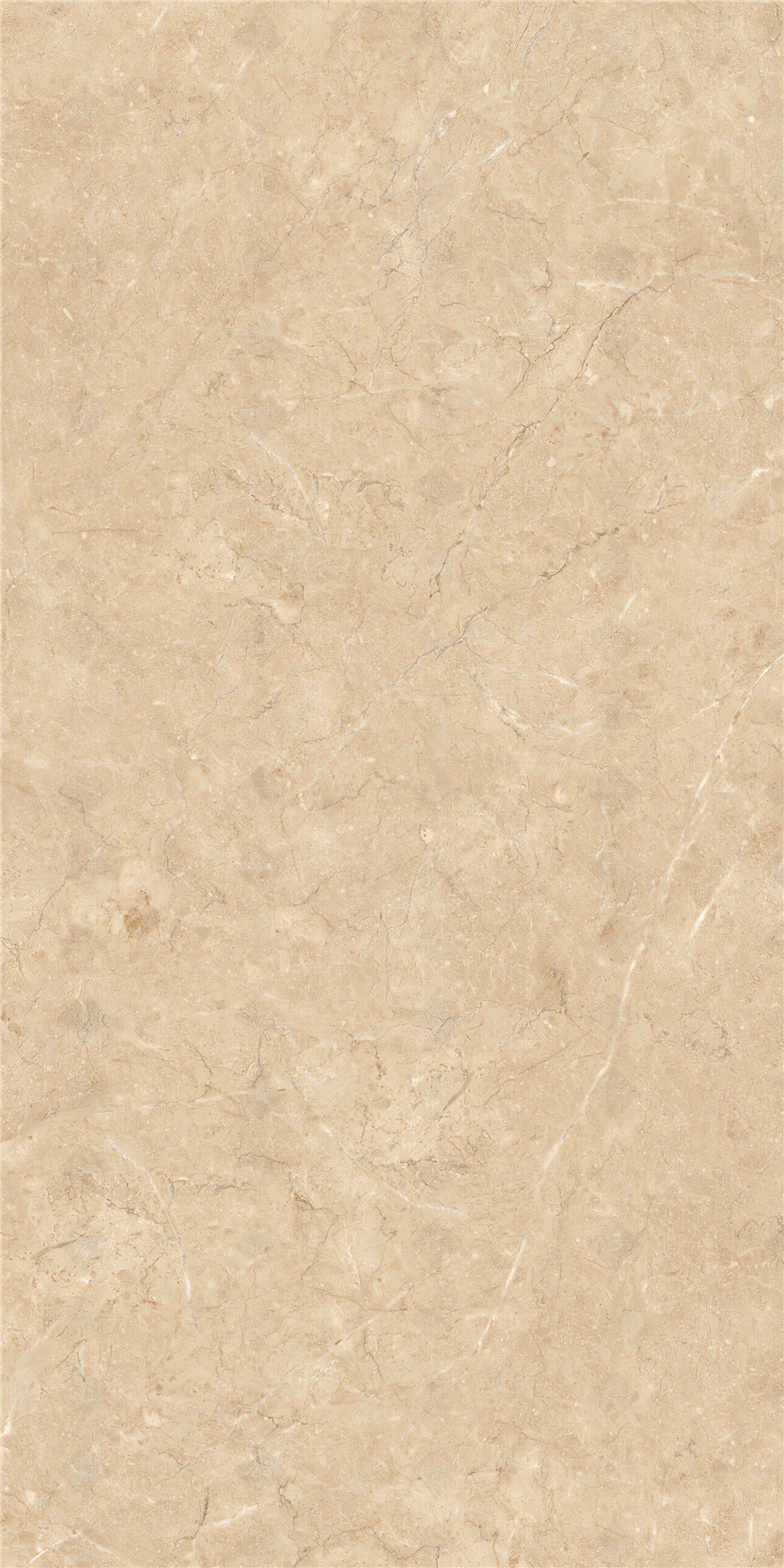 新莎安娜米黄色大理石贴图下载【ID:1119208406】