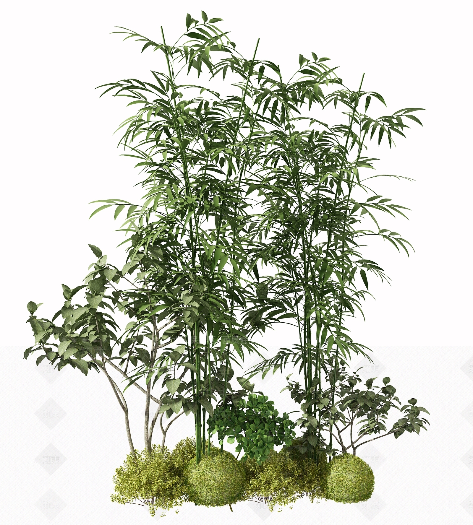 竹子3D模型下载【ID:1119402708】