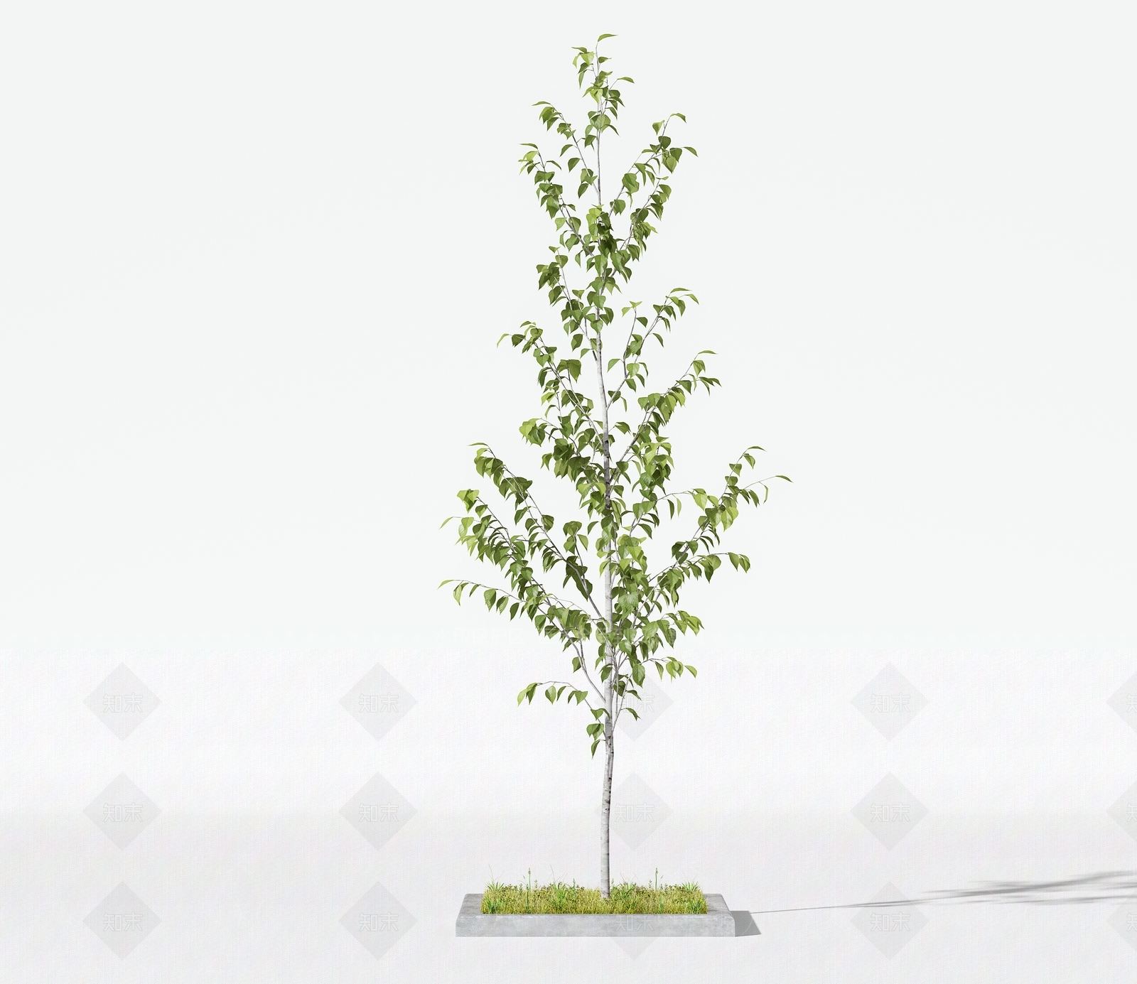 树木3D模型下载【ID:1119469830】